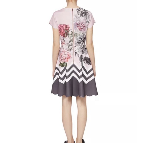 Ted Baker Pink Floral Palace Gardens Hailie Flare Dress Pockets Ted Size 0 US 2 - Picture 4 of 16